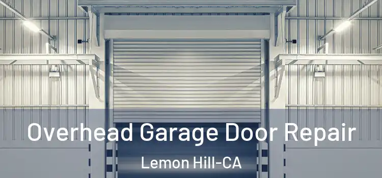  Overhead Garage Door Repair Lemon Hill-CA